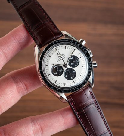 Crocodile/ Alligator