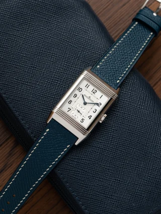 Crocodile/ Alligator